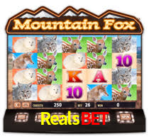 Realsbet,Realsbet CaSSino